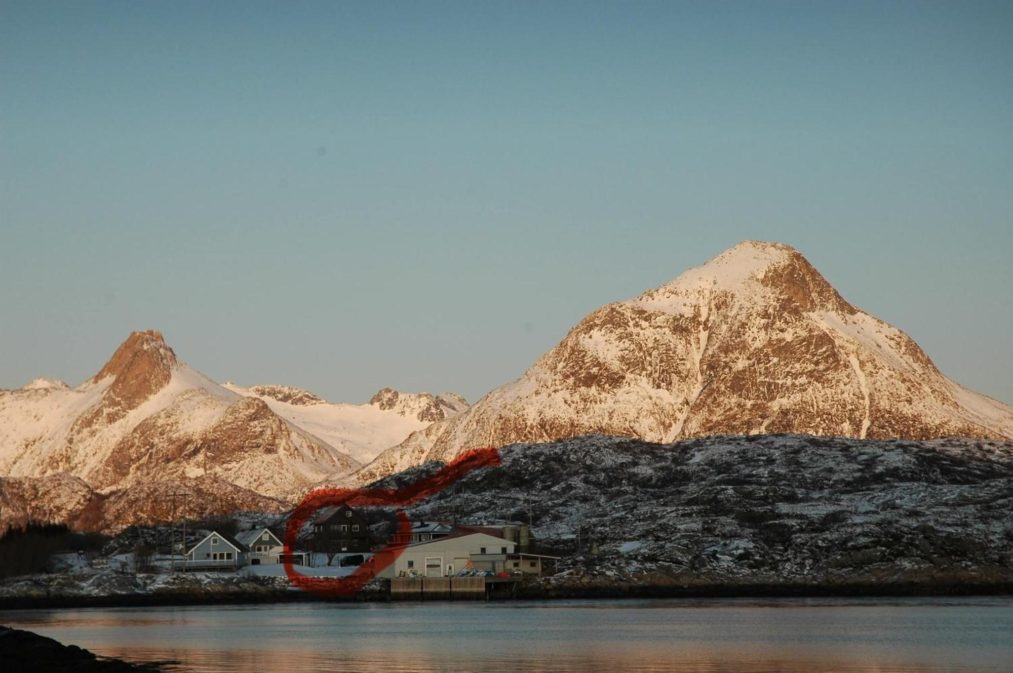 Lofoten Apartment *